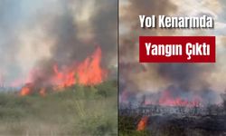 Düzce'de yol kenarındaki yangın güçlükle söndürüldü