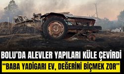 Bolu’da alevler önüne gelen yapıyı küle çevirdi: 3 ev, 2 ahır, 2 samanlık alev alev yandı