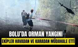 Bolu'da ormanlık alanda çıkan yangın büyümeden söndürüldü
