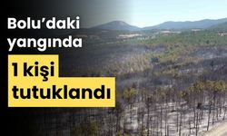 Bolu’daki orman yangınıyla ilgili 1 kişi tutuklandı