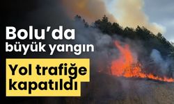 Bolu’da büyük yangın yol trafiğe kapatıldı