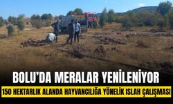 Bolu’da 150 hektarlık merada ıslah çalışması başladı