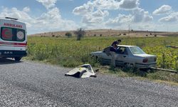 Komşudan kardeşlere kanlı pusu: 2 ölü
