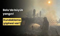 Aşağı Soku Yayla'sında çıkan yangında, evler ve ahırlar küle döndü