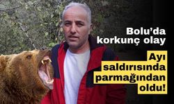 Bolu'da ayı saldırısına uğrayan çiftçi, parmağından oldu