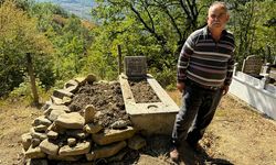 Mezarı kazıp tahtaları kıran ayı cenazeye ulaşamadan kaçtı