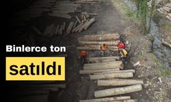 Binlerce ton satıldı