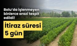 Bolu'da, işlenmeyen binlerce tarım arazisi tespit edildi!