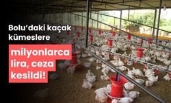 Bolu’da, kaçak kümeslere milyonlarca lira ceza kesildi