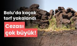 Kaçak torf çıkaran şahsa, 223 bin lira ceza kesildi