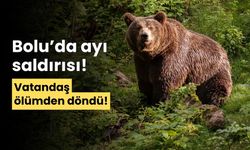 Bolu'da ayının saldırdığı vatandaş, ölümden döndü!