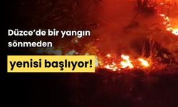 Düzce'de bir yangın bitmeden, diğeri başlıyor!