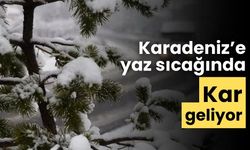 Karadeniz’de yaz sıcağında kar geliyor