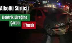 Alkollü sürücü elektrik direğine çarptı, ortalık savaş alanına döndü: 1 yaralı