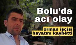 Bolu’da, ağacın altında kalan orman işçisi, hayatını kaybetti