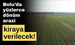 Bolu'da yüzlerce dönüm arazi kiraya verilecek