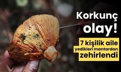 Aynı aileden 7 kişi yedikleri mantardan zehirlendi