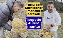 Bolu’da “Doğadabirbilen”den doğada dev karnabahar mantarı avı!