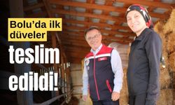 Bolu’da, ilk düveler, kadın çiftçiye teslim edildi!