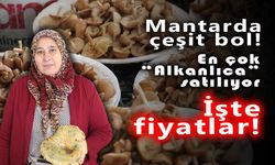 Vatandaş ormandan kova kova topladı, pazarda kilosunu 400 liraya sattı