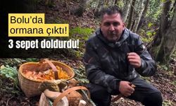 Bolu'da mantar meraklısı vatandaş, ormanda 3 sepet doldurdu!