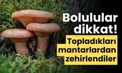 Bolulular dikkat mantar zehirledi!