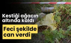 Kestiği ağacın altında kaldı feci şekilde can verdi