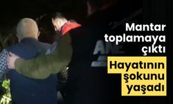 Mantar toplamaya çıktı hayatının şokunu yaşadı