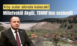 Bolu Milletvekili Akgül, sular altında kalacak köy için destek istedi