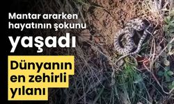 Mantar ararken hayatının şokunu yaşadı