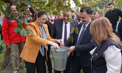 Bartın'da kivi hasat şenliği düzenlendi