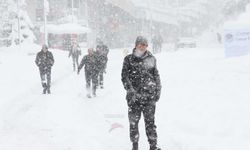 Türkiye sıcaktan kavrulurken, Bolu 1 dereceyi gördü!