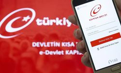 Yeni dönem resmen başladı! Bu haberi okuyanlar e-Devlet'e akın edecek