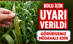 Bolu’da, sarı pas hastalığına karşı uyarı yapıldı