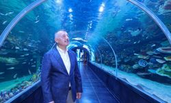 Bolu'ya 1 buçuk saat mesafede, dev akvaryum açılıyor