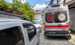 Ambulans, yola park eden arabalardan geçemedi