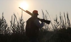 Bolu’da avlanması yasak türler belli oldu