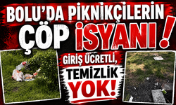 Bolu'da piknikçilerin çöp isyanı: Giriş ücretli, temizlik yok!