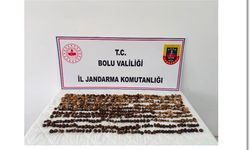 Bolu'da salep toplayanlara, milyonlarca lira ceza kesildi