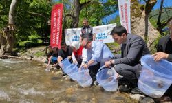 Bolu’da üretilen balıklar, Düzce’de suya salındı