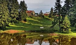 Bolu'da yayla arsaları satışa çıktı!