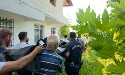 Ihlamur toplarken ağaçtan düşüp öldü