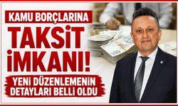 Kamu borçlarına taksit imkanı! Yeni düzenlemenin detayları belli oldu