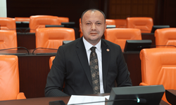Milletvekili Akgül, yaylalardaki elektrik sorununu TBMM'ye taşıdı