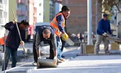 Kamuya girmek isteyenler bu haberi kaçırmasın