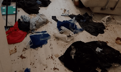 Koku ihbarında şoke eden manzara