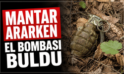 Mantar aramaya çıktı, el bombası buldu
