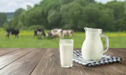 Ne inek ne manda! Bağırsak sağlığı için en iyi süt açıklandı...