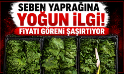 Seben yaprağı fiyatıyla dikkat çekti: Tezgahta 400 TL’ye kadar çıkıyor!