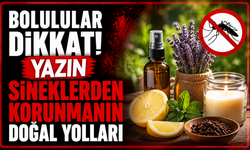 Bolulular Dikkat! Yazın Sineklerden Korunmanın Doğal Yolları